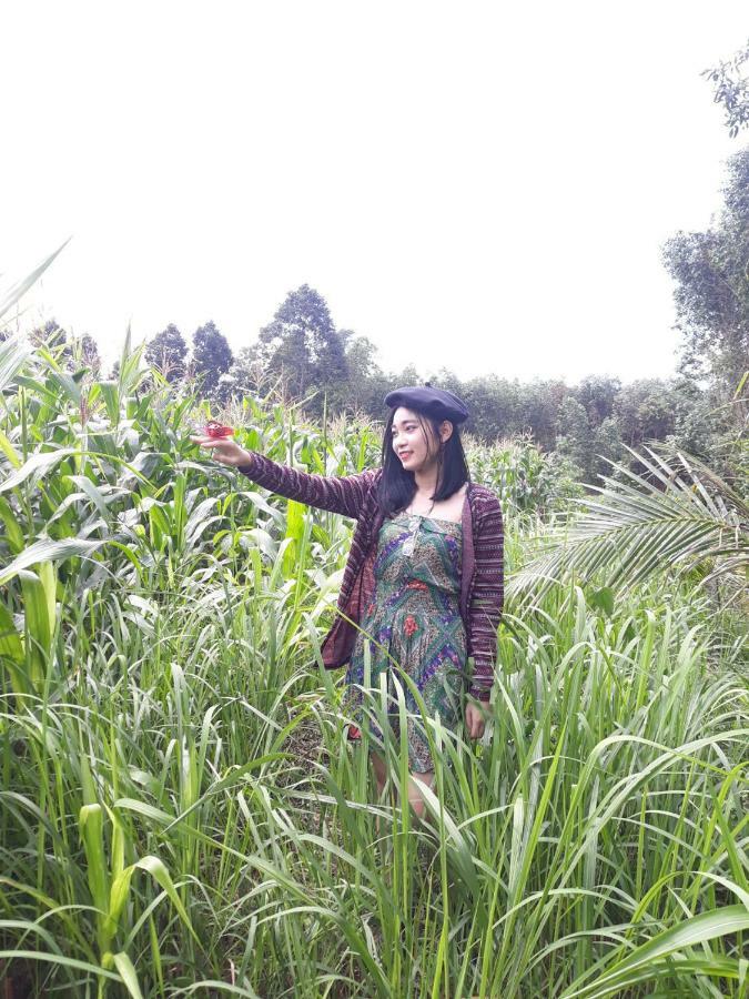 Cat Tien Farmer Lodge Quan Tom ภายนอก รูปภาพ